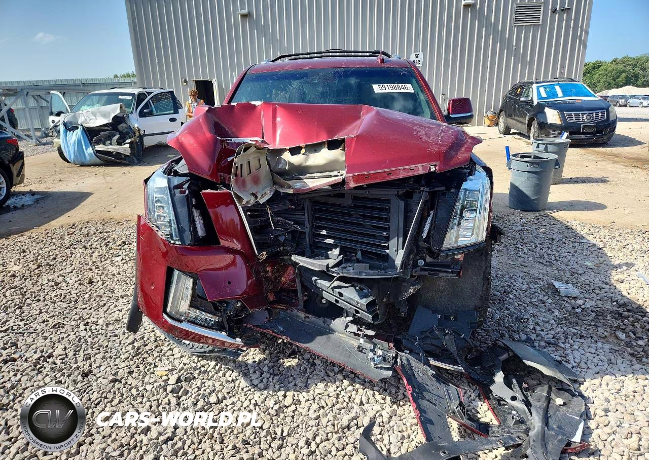 2019 Cadillac Escalade Platinum VIN:1GYS4DKJ1KR102670 - 5