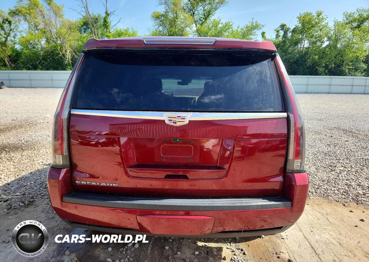 2019 Cadillac Escalade Platinum VIN:1GYS4DKJ1KR102670 - 6