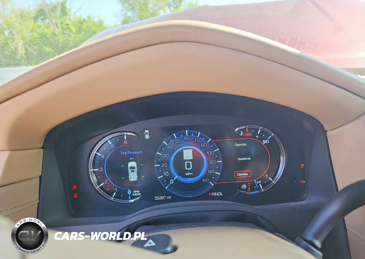 2019 Cadillac Escalade Platinum VIN:1GYS4DKJ1KR102670 - 9