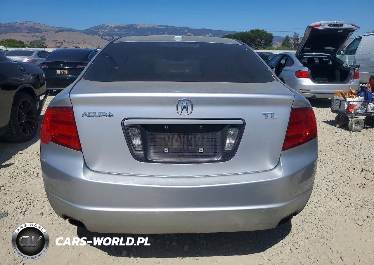 2006 Acura 3.2Tl VIN:19UUA66256A053422 - 6