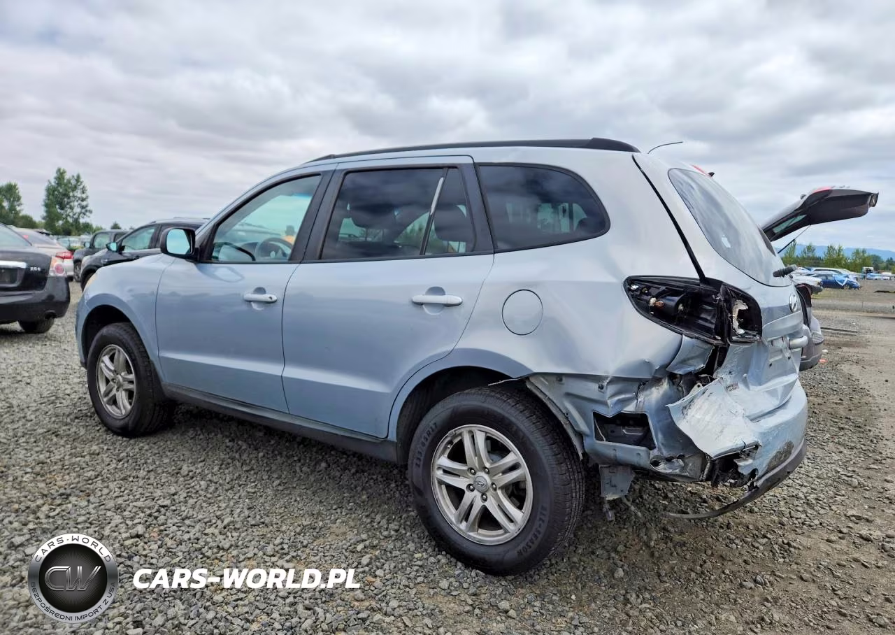 2010 Hyundai Santa Fe Gls VIN:5NMSG3AB3AH387179 - 2