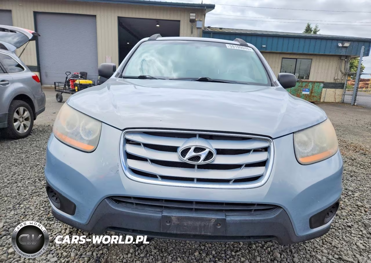 2010 Hyundai Santa Fe Gls VIN:5NMSG3AB3AH387179 - 5