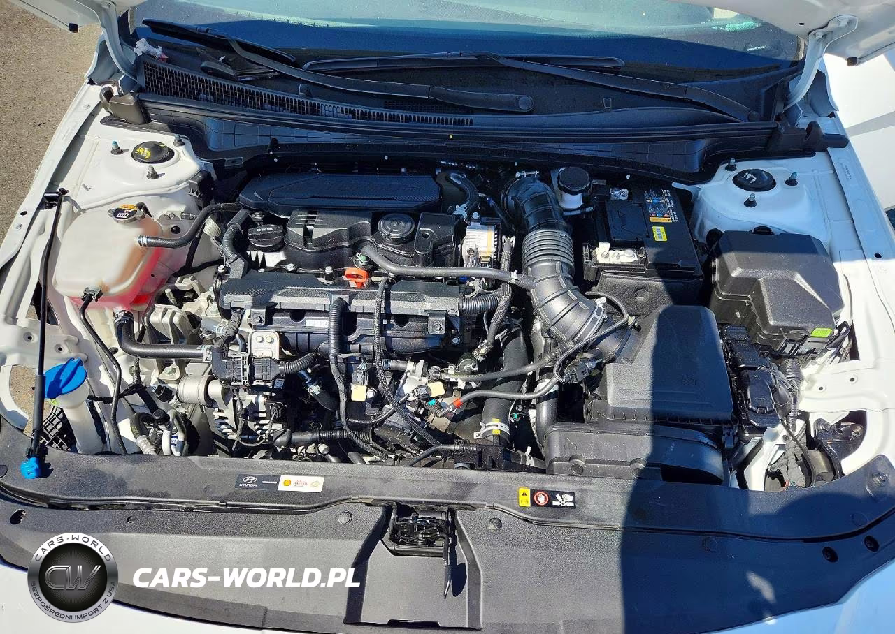 2025 Hyundai Elantra N Line VIN:KMHLR4DFXSU950642 - 11