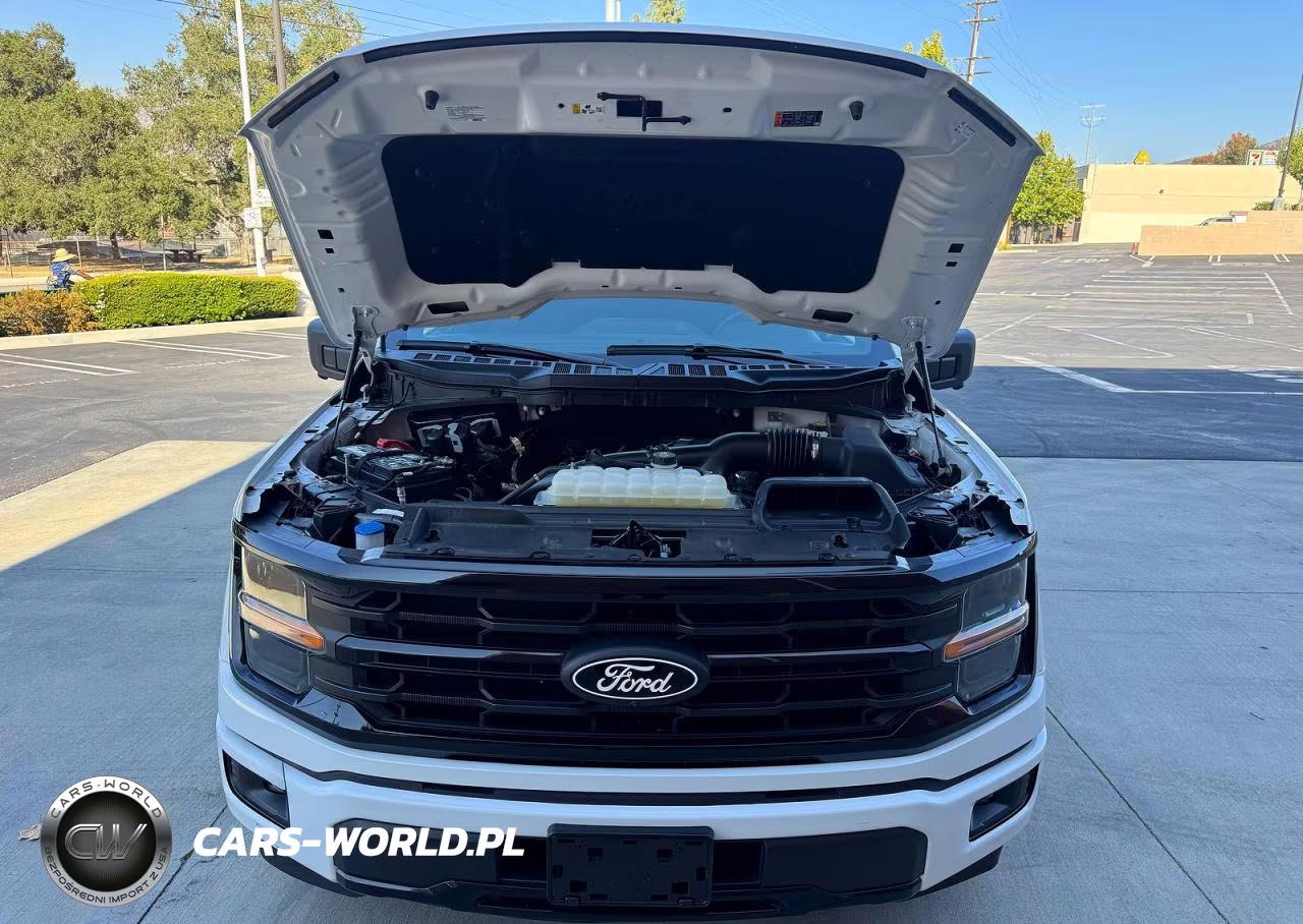 2024 Ford F150 Xlt VIN:1FTEW3KP0RKD89336 - 7