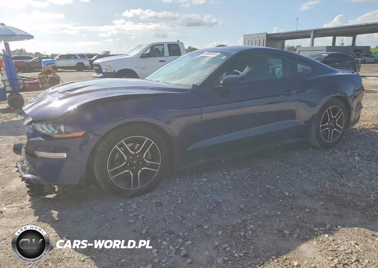2019 Ford Mustang