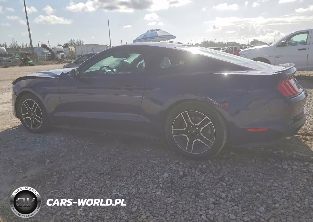 2019 Ford Mustang VIN:1FA6P8TH3K5184867 - 2