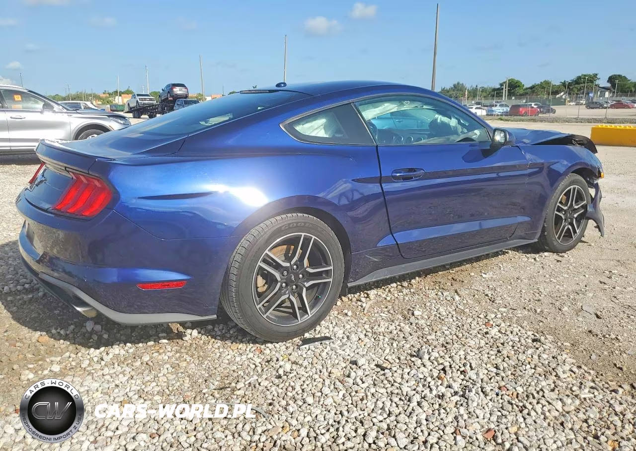 2019 Ford Mustang VIN:1FA6P8TH3K5184867 - 3
