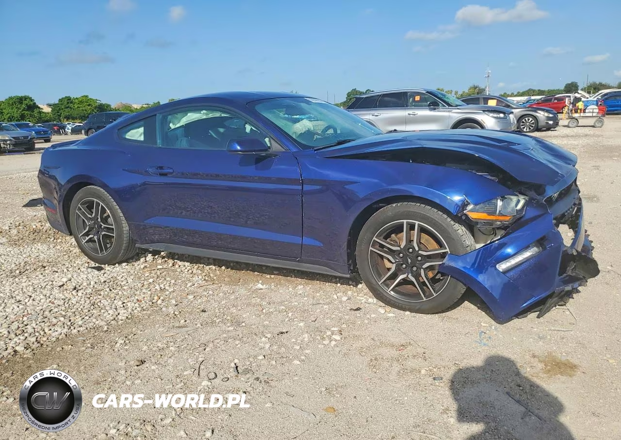 2019 Ford Mustang VIN:1FA6P8TH3K5184867 - 4