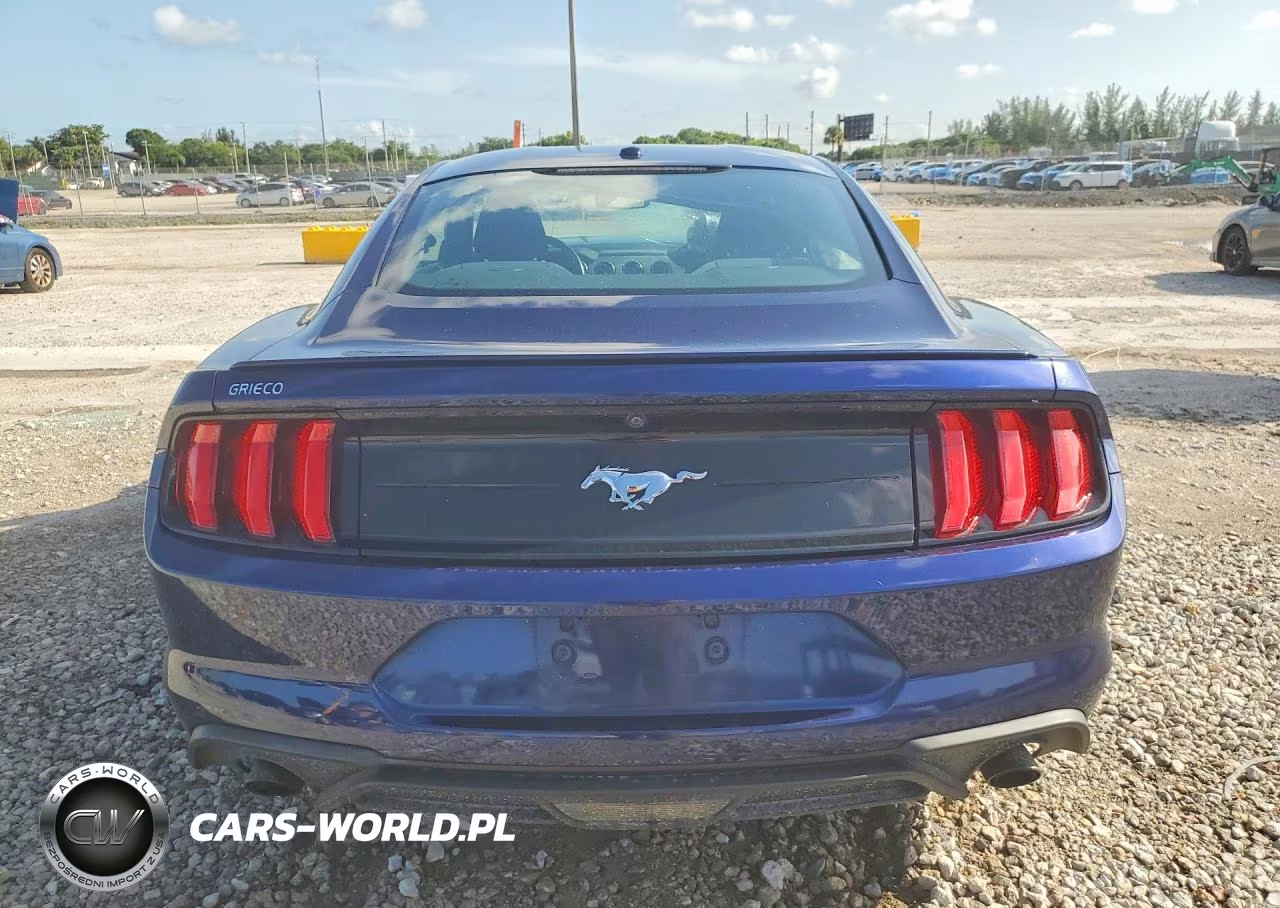 2019 Ford Mustang VIN:1FA6P8TH3K5184867 - 6