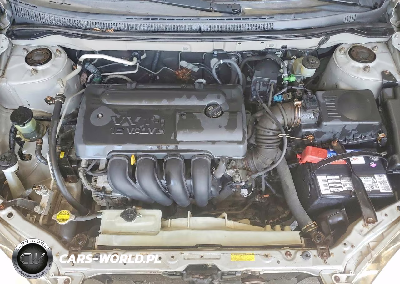 2003 Toyota Corolla Le VIN:JTDBR32E330014682 - 11