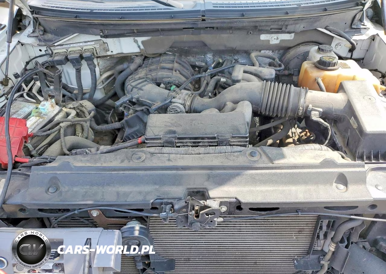 2013 Ford F150 VIN:1FTMF1CM3DKE14761 - 11