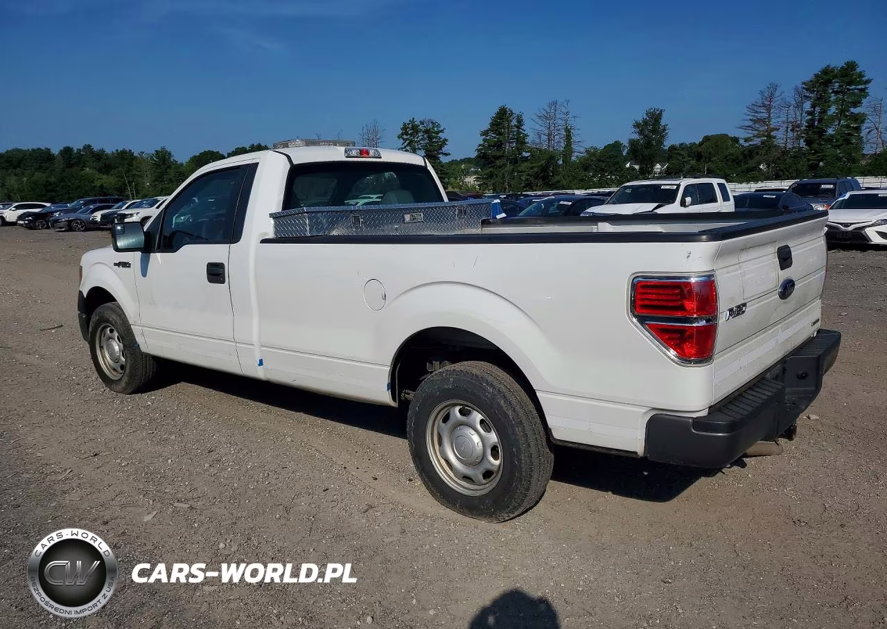 2013 Ford F150 VIN:1FTMF1CM3DKE14761 - 2
