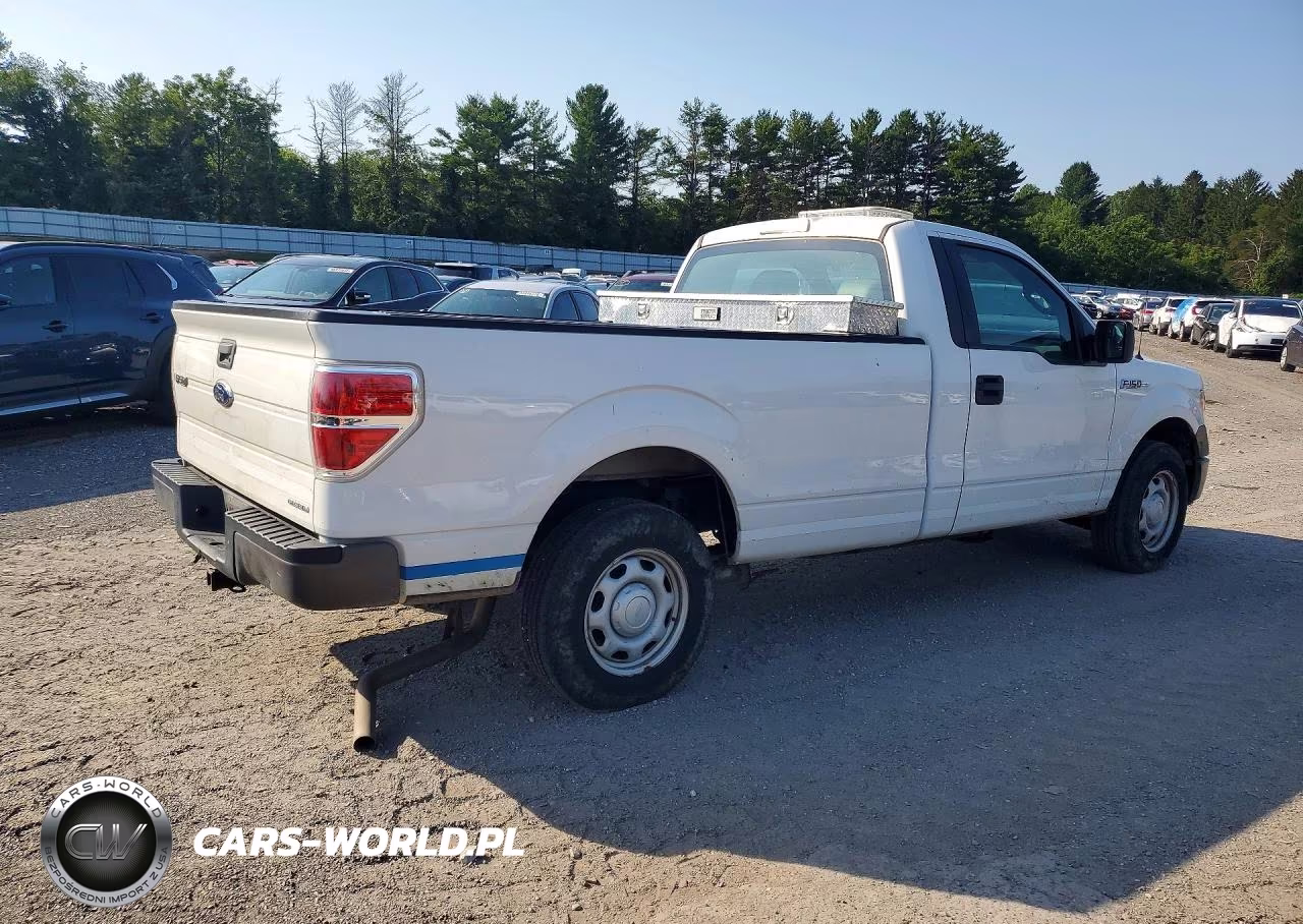 2013 Ford F150 VIN:1FTMF1CM3DKE14761 - 3