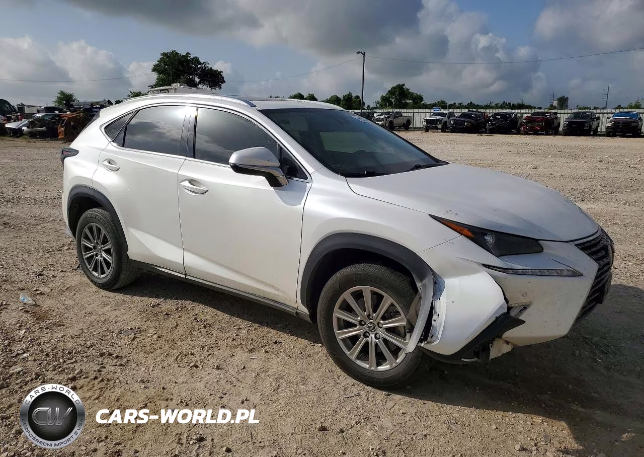 2021 Lexs Nx 300 VIN:JTJDARBZ5M5030891 - 4
