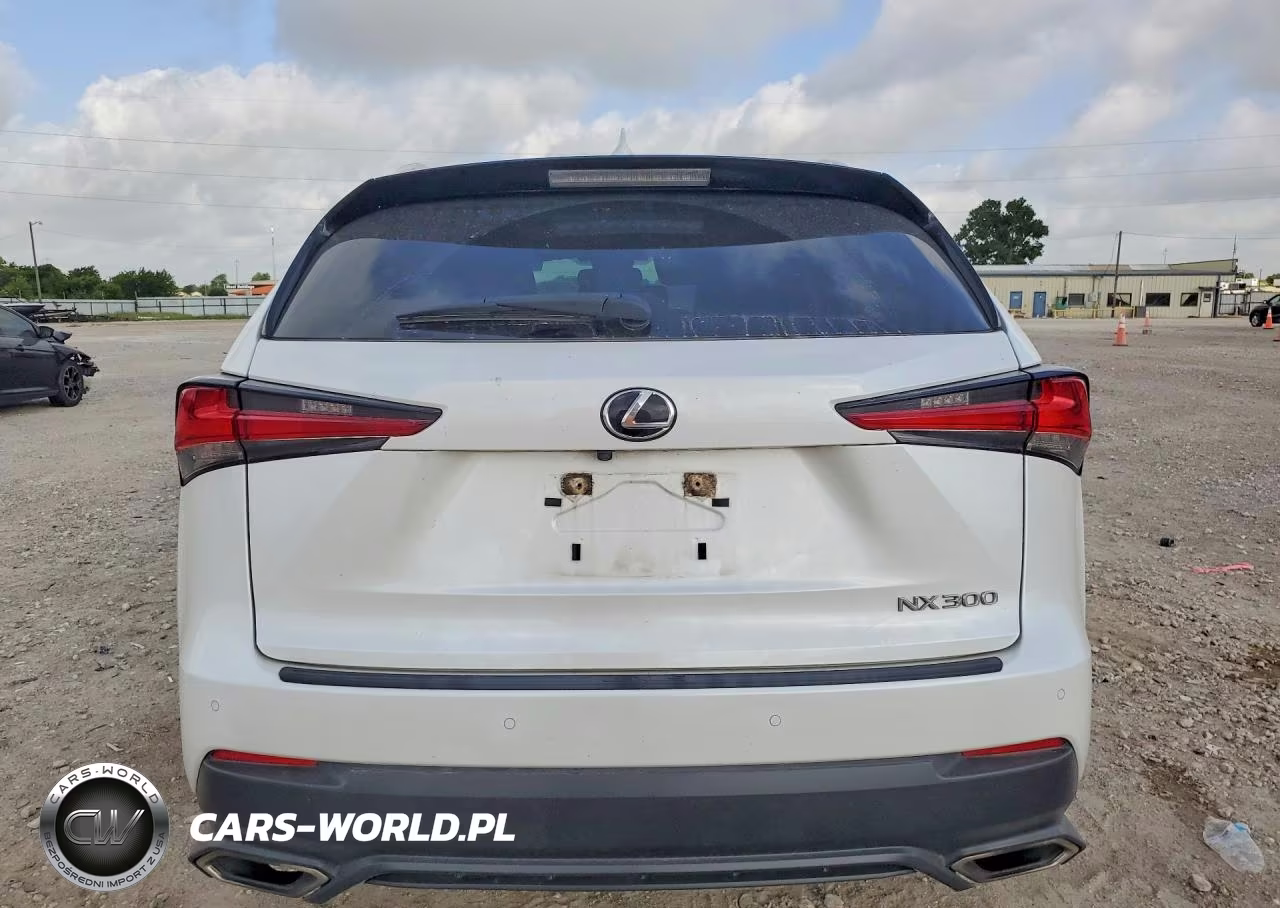 2021 Lexs Nx 300 VIN:JTJDARBZ5M5030891 - 6