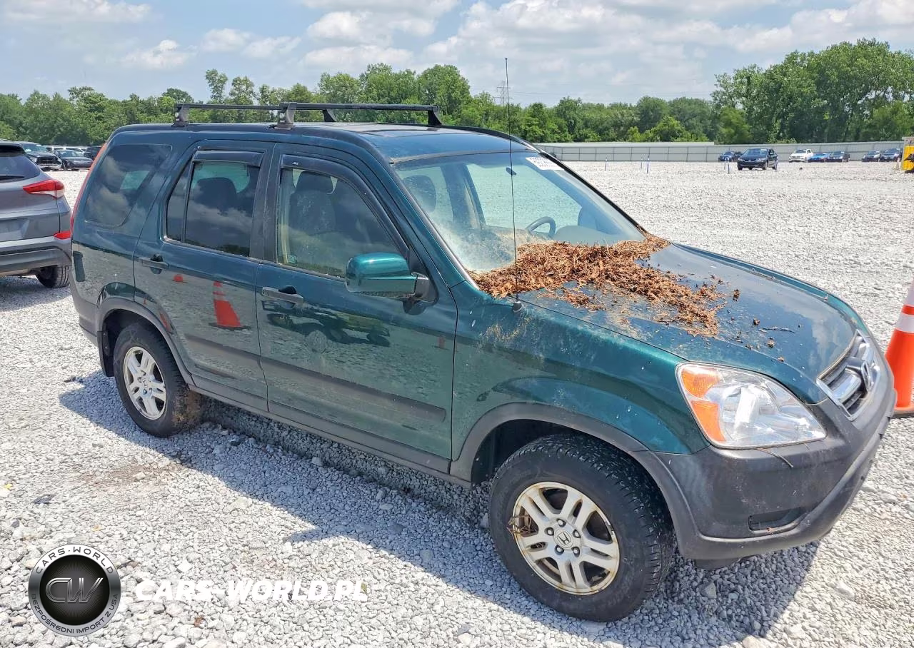 2002 Honda Cr-V Ex VIN:SHSRD788X2U012216 - 4