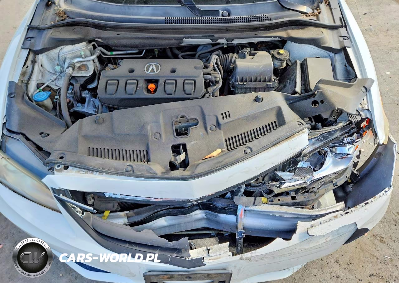 2013 Acura Ilx 20 Premium VIN:19VDE1F5XDE011444 - 11