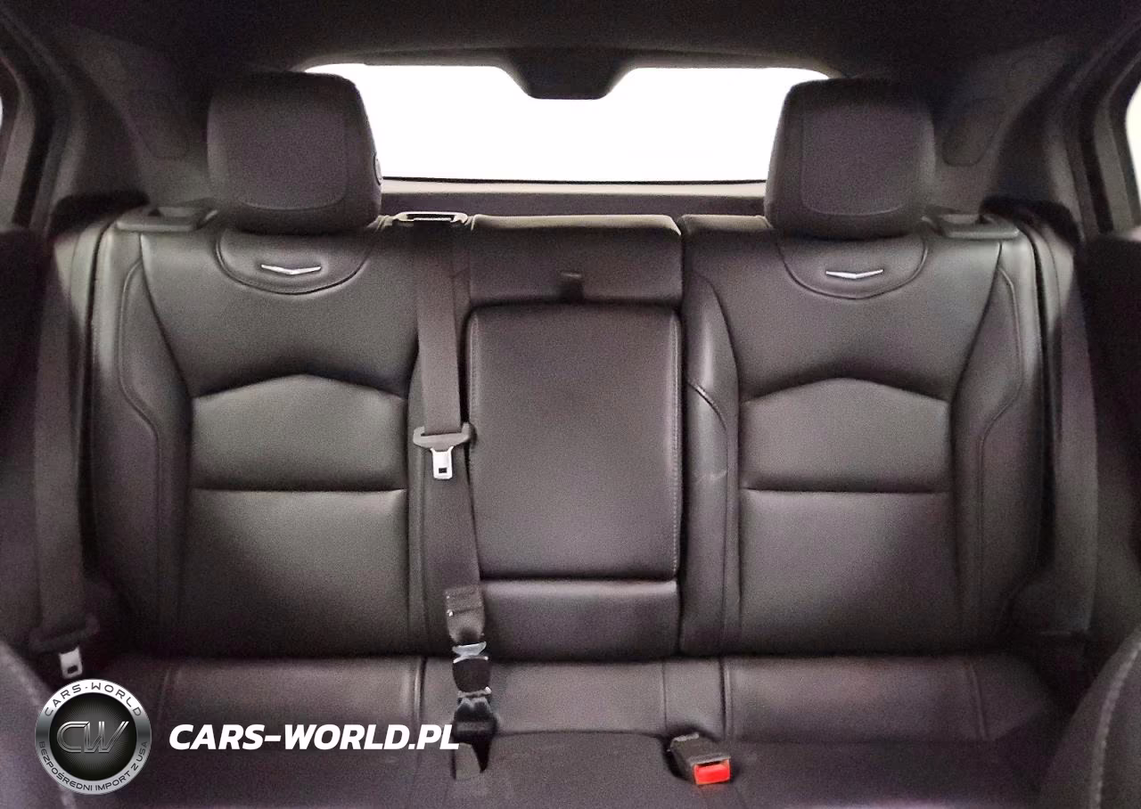 2019 Cadillac Xt4 Premium Luxury VIN:1GYFZCR40KF146383 - 10
