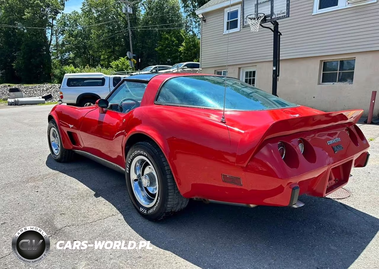 1979 Chevrolet Corvette VIN:1Z87495422058 - 2
