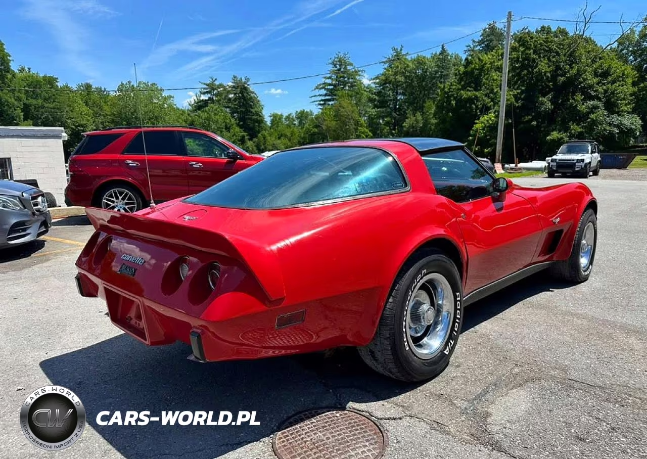1979 Chevrolet Corvette VIN:1Z87495422058 - 3