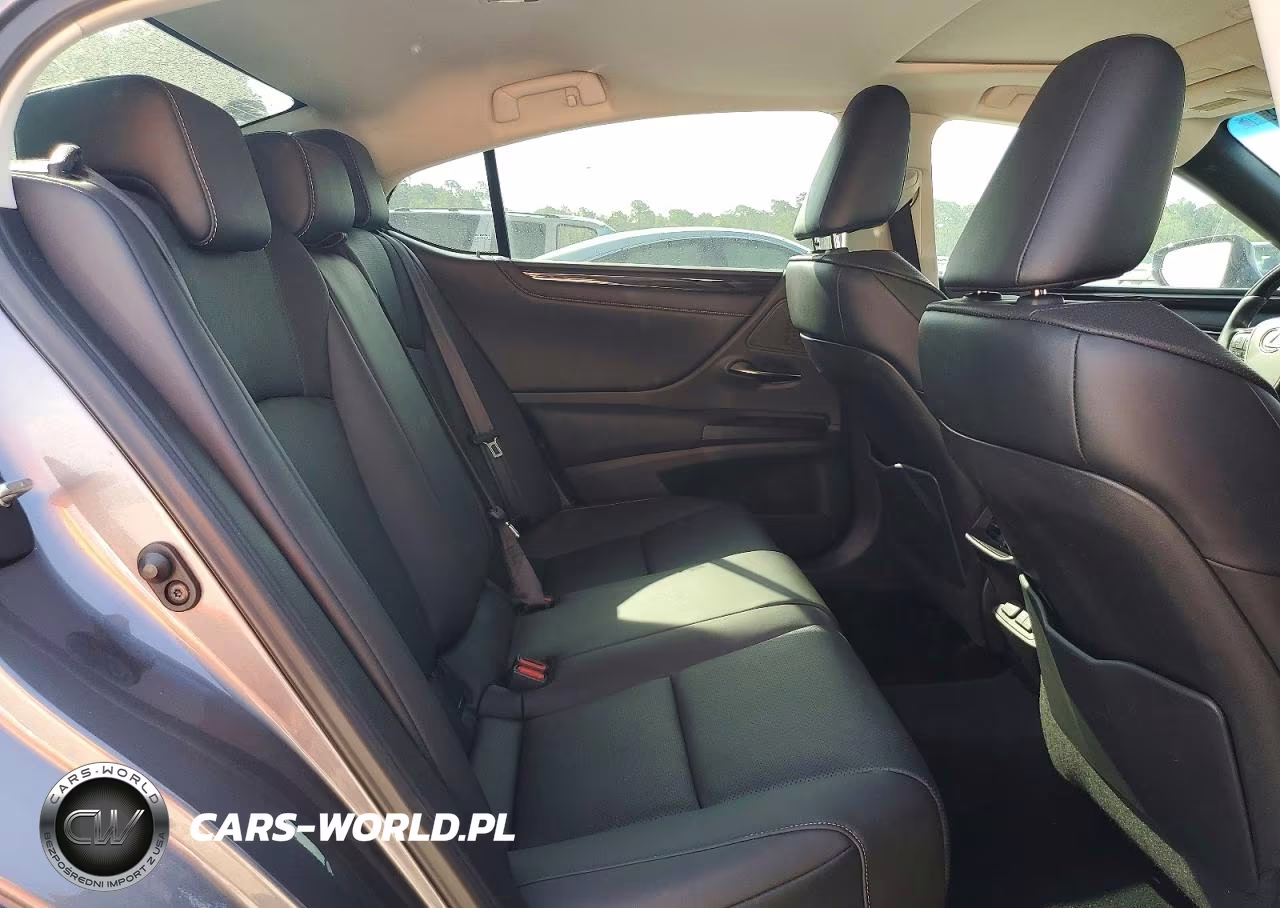 2020 Lexus Es 350 VIN:58ADZ1B13LU055157 - 10