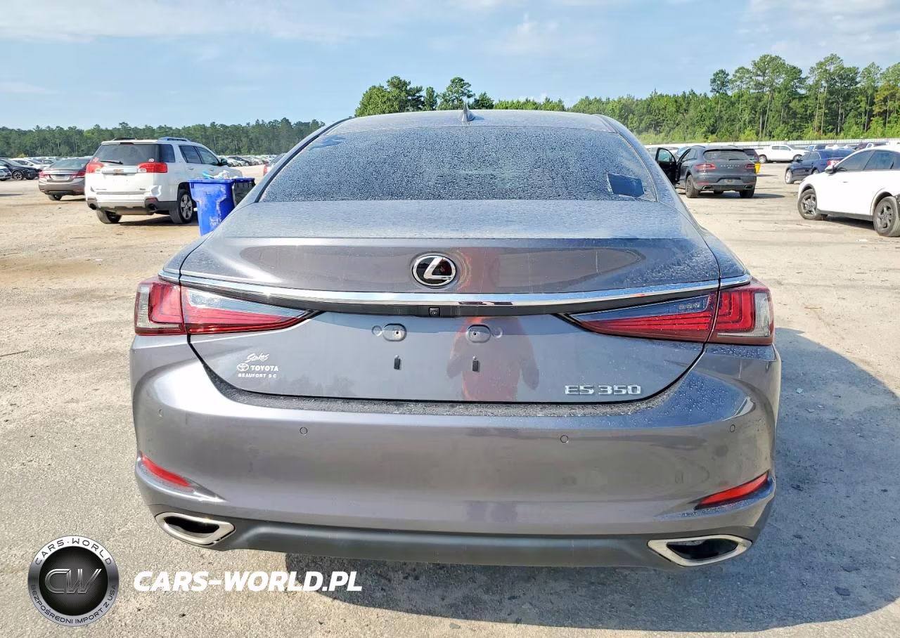 2020 Lexus Es 350 VIN:58ADZ1B13LU055157 - 6
