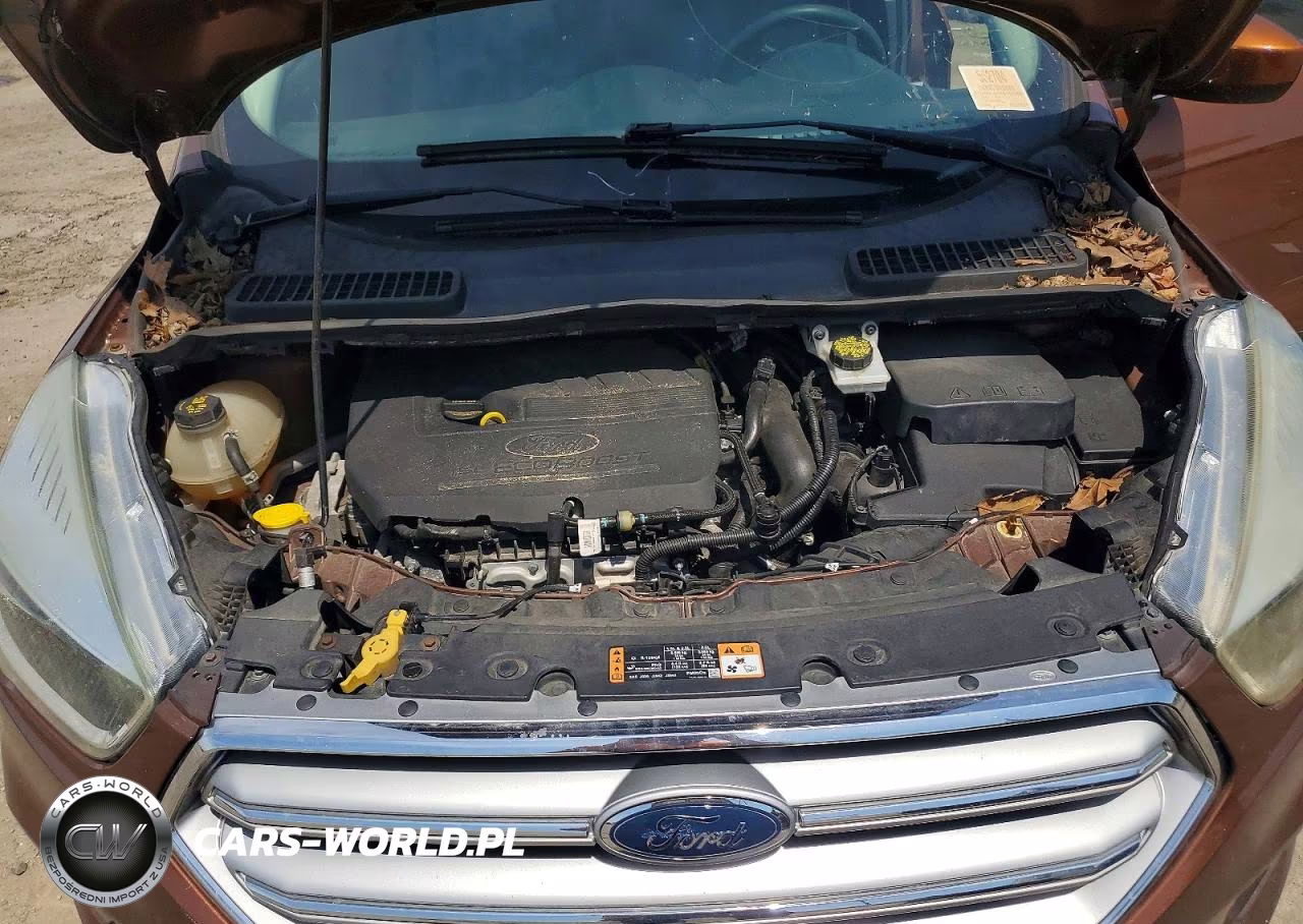 2017 Ford Escape Se VIN:1FMCU9GDXHUC03007 - 12
