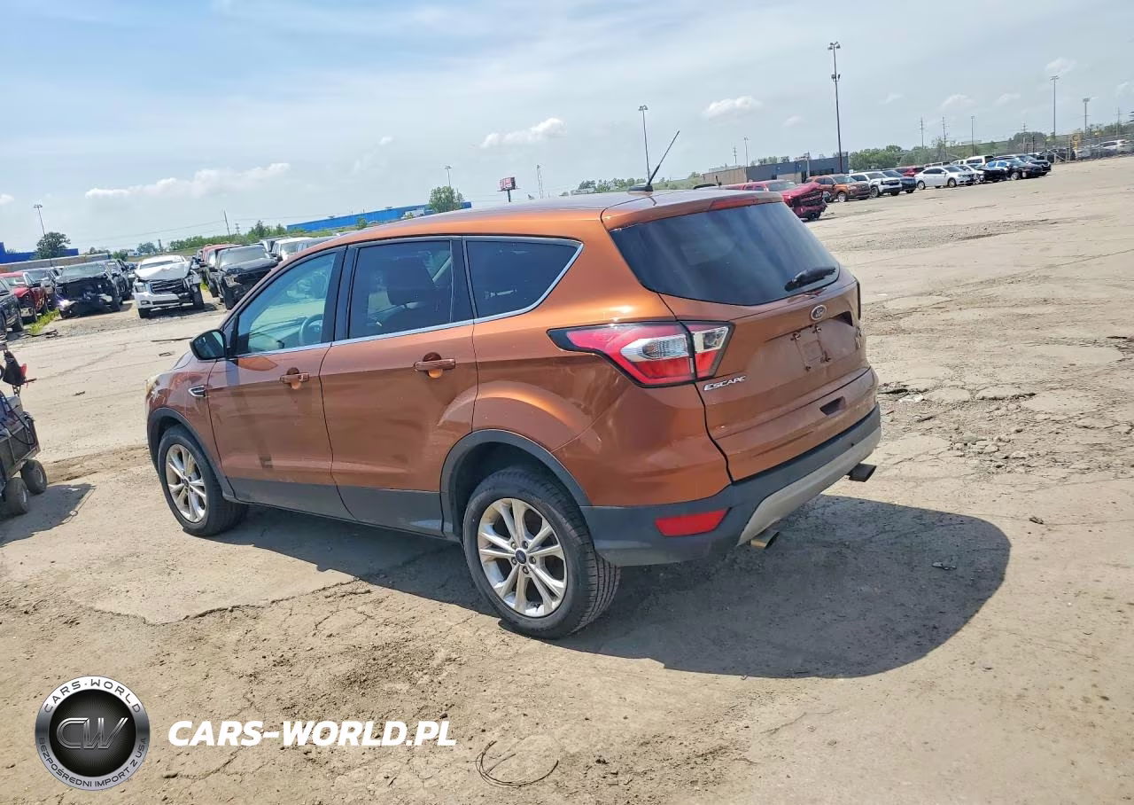2017 Ford Escape Se VIN:1FMCU9GDXHUC03007 - 2