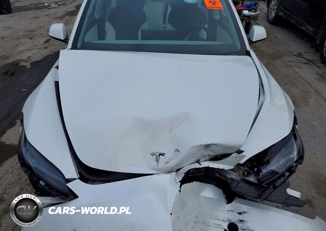 2025 Tesla Model 3 VIN:5YJ3E1EA1SF992014 - 11
