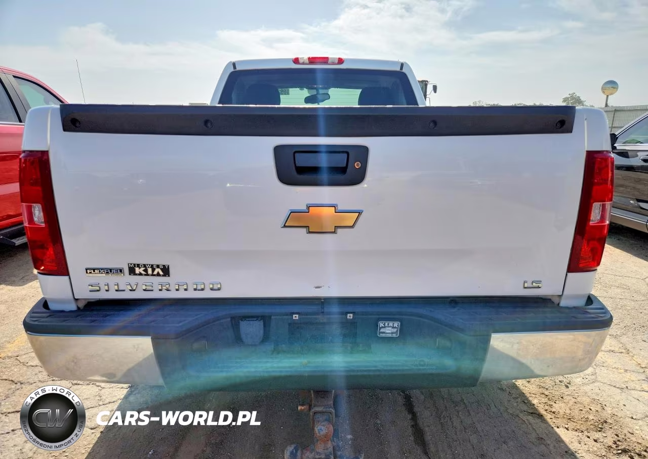 2009 Chevrolet Silverado K1500 VIN:1GCEK140X9Z164686 - 6