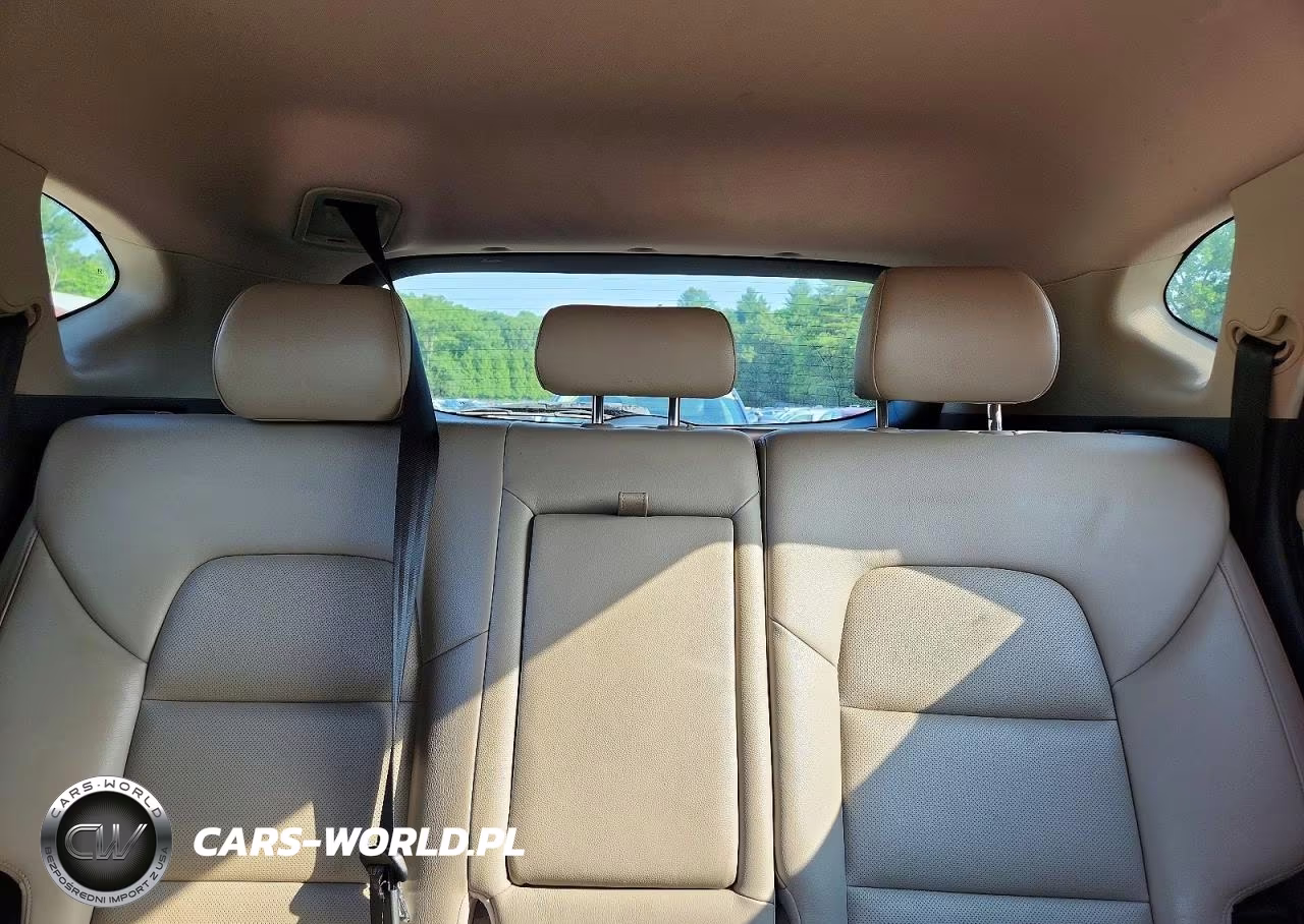 2017 Hyundai Tucson Limited VIN:KM8J3CA2XHU302473 - 10
