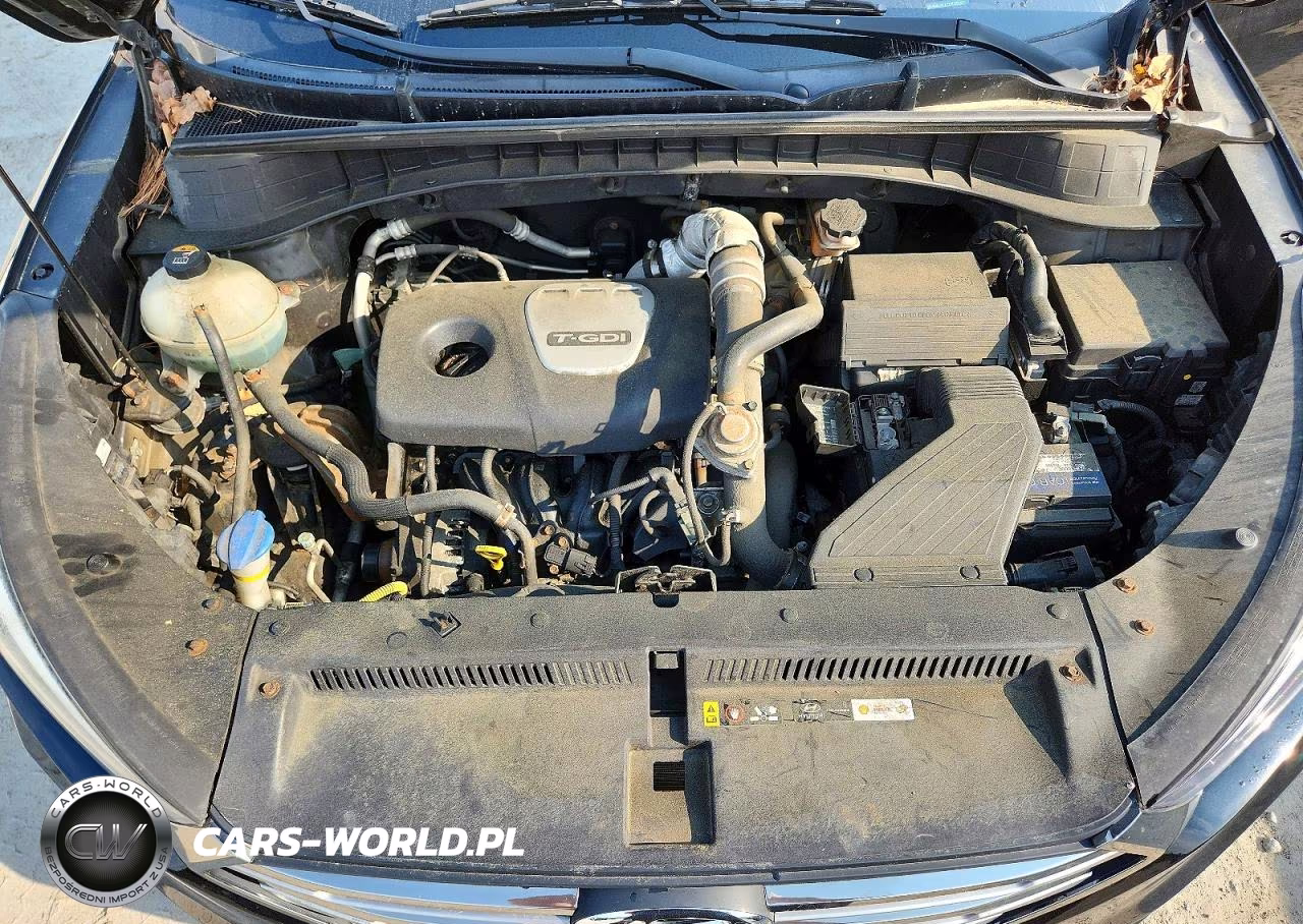 2017 Hyundai Tucson Limited VIN:KM8J3CA2XHU302473 - 12