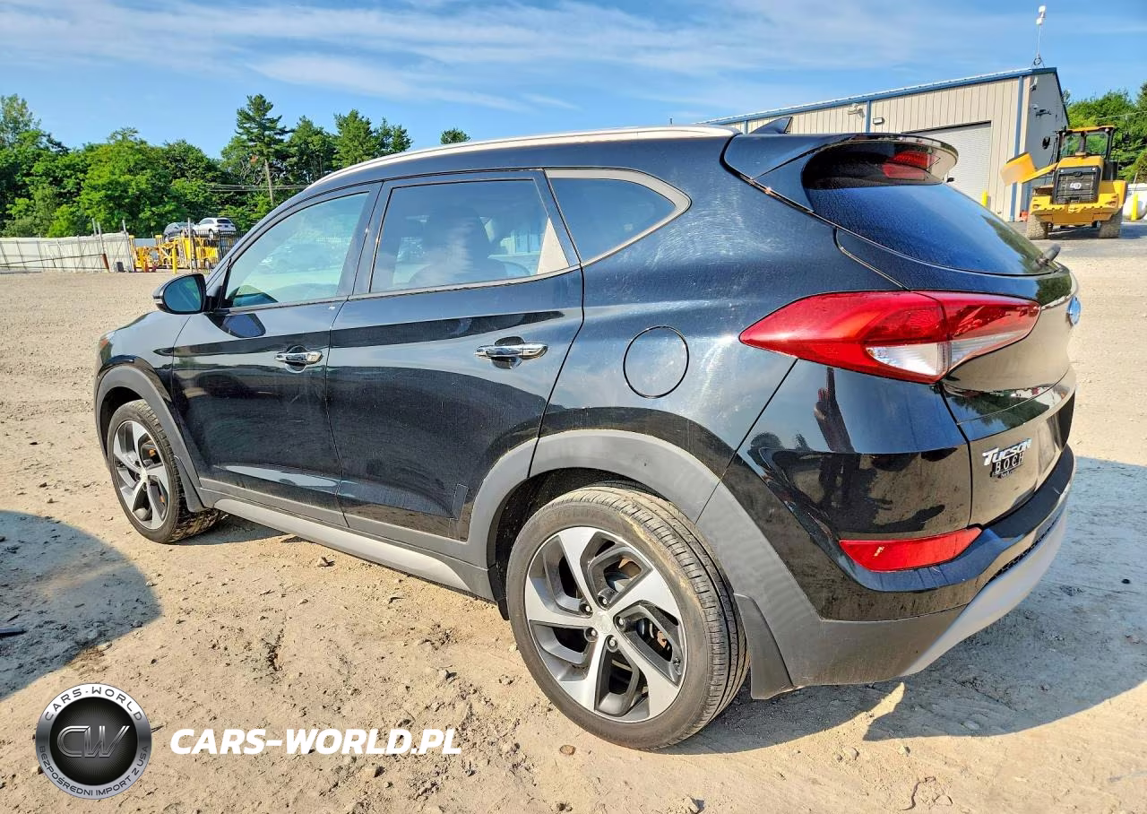 2017 Hyundai Tucson Limited VIN:KM8J3CA2XHU302473 - 2