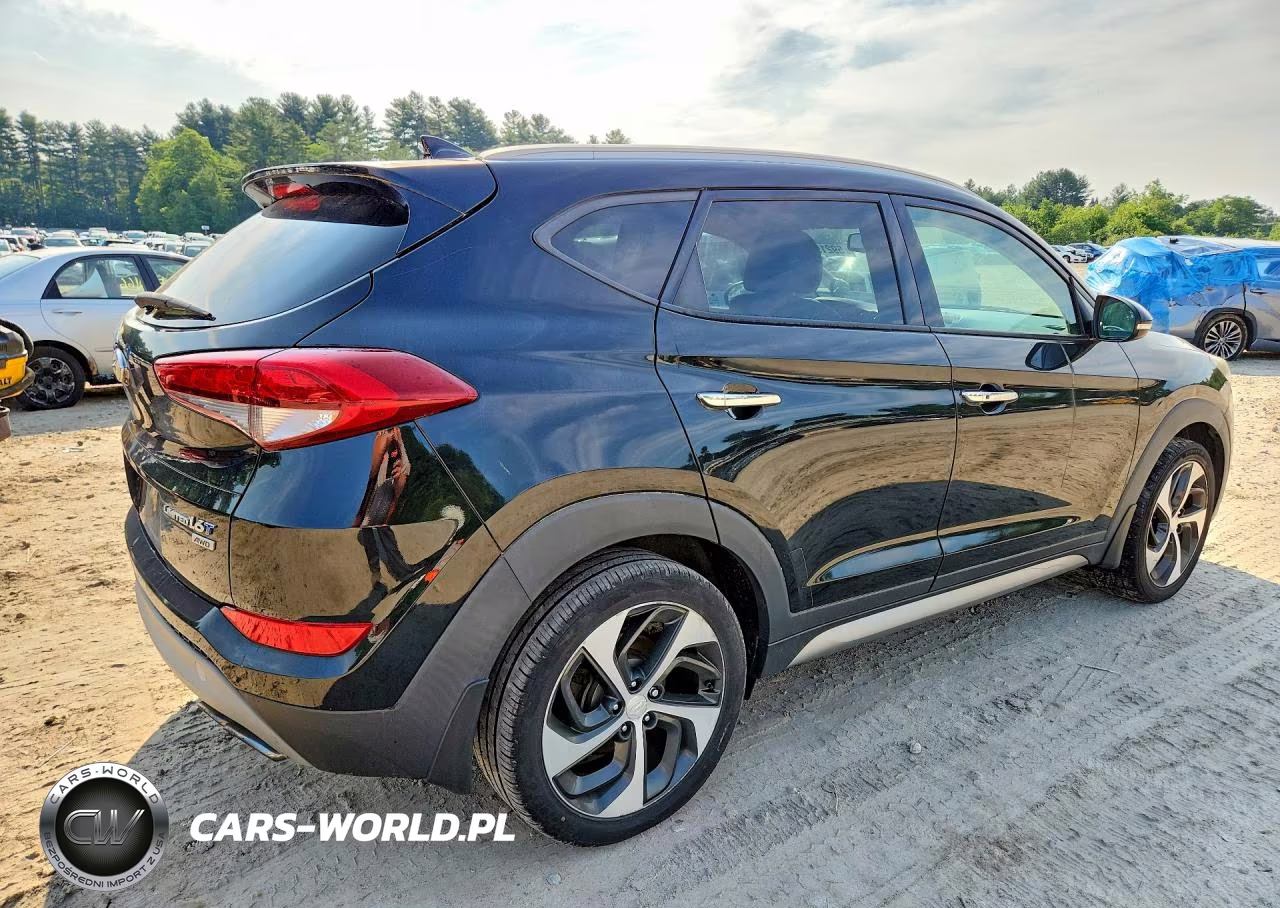 2017 Hyundai Tucson Limited VIN:KM8J3CA2XHU302473 - 3