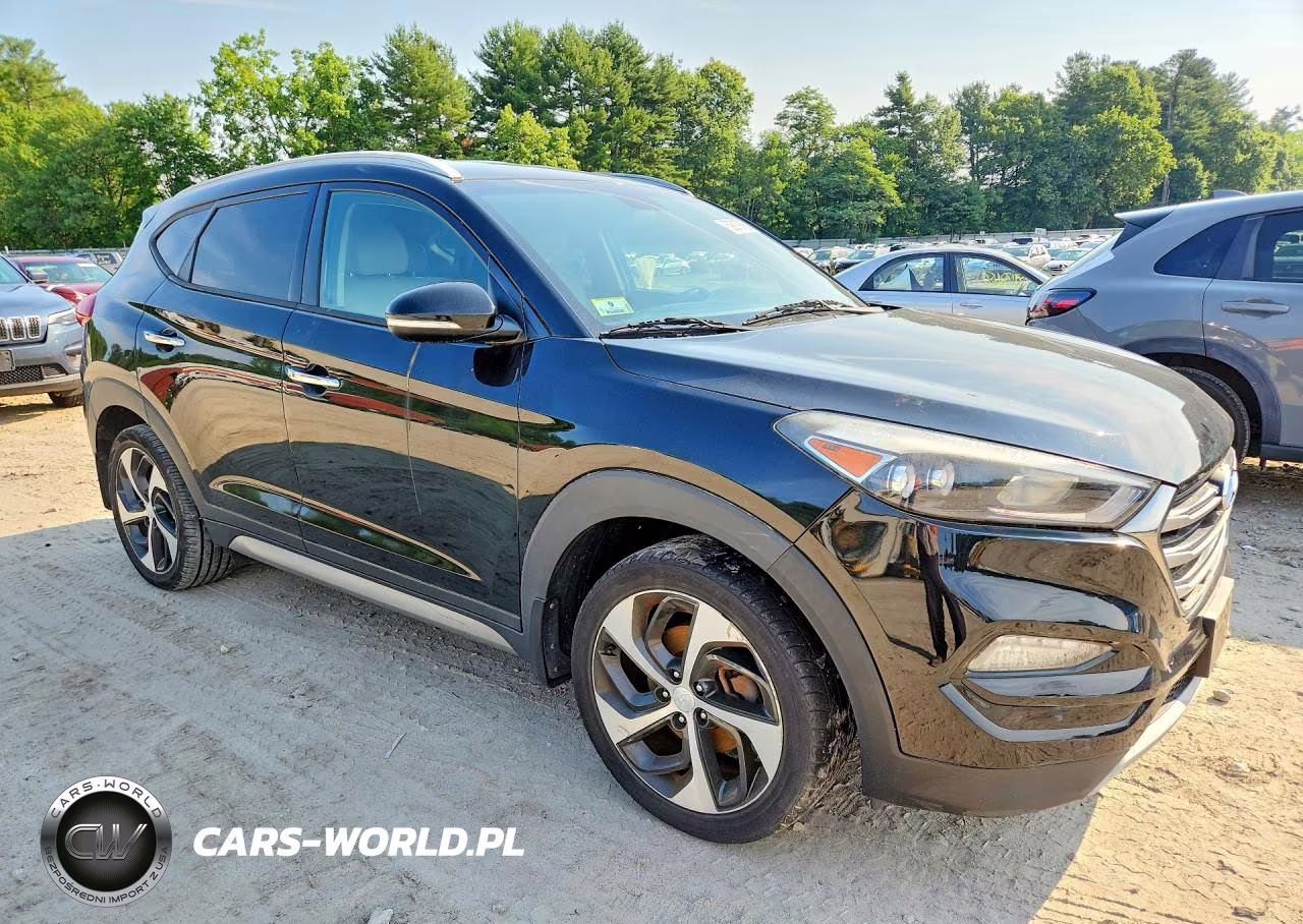 2017 Hyundai Tucson Limited VIN:KM8J3CA2XHU302473 - 4