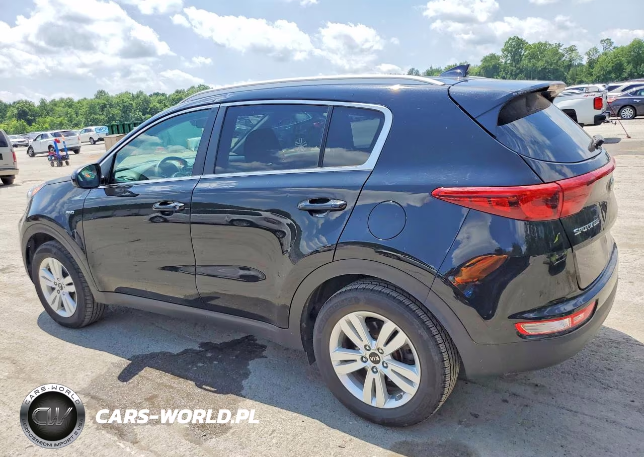 2019 Kia Sportage Lx VIN:KNDPMCAC1K7613137 - 2