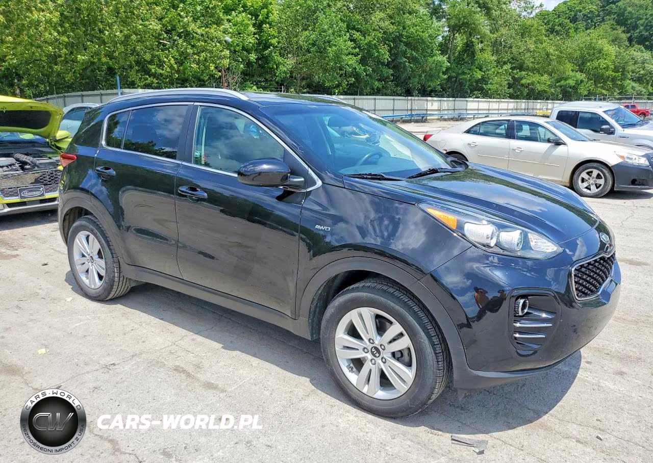 2019 Kia Sportage Lx VIN:KNDPMCAC1K7613137 - 4