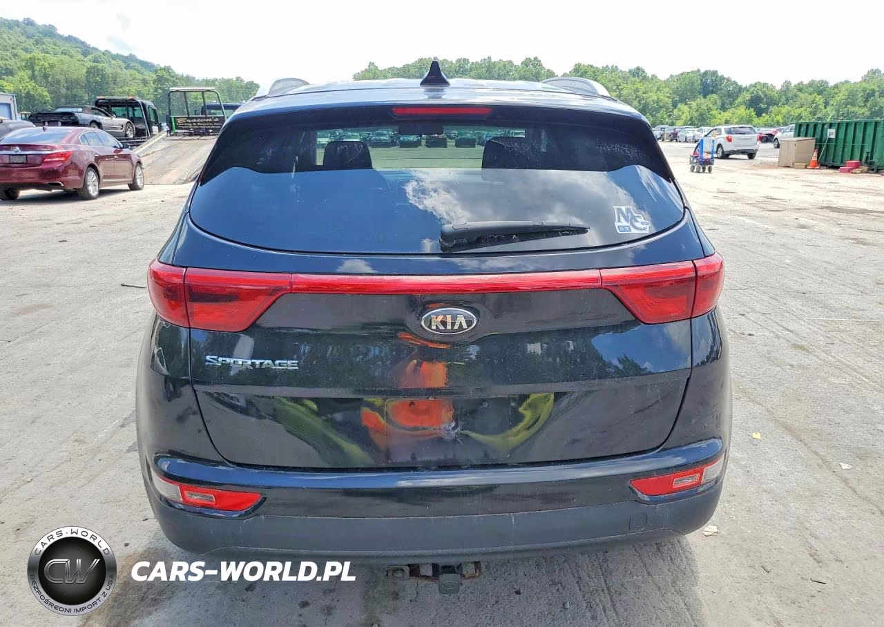 2019 Kia Sportage Lx VIN:KNDPMCAC1K7613137 - 6