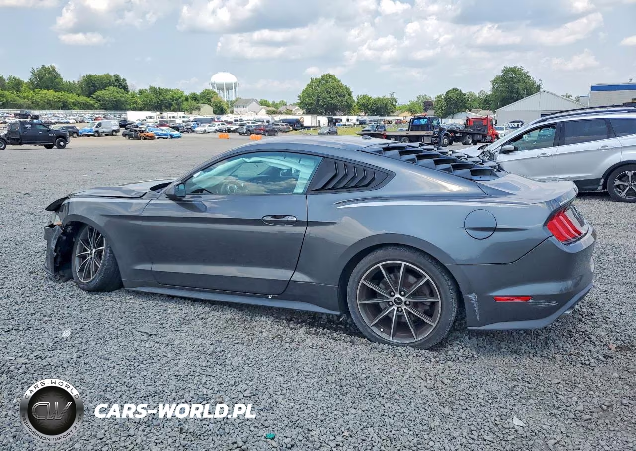 2019 Ford Mustang VIN:1FA6P8TH1K5146506 - 2