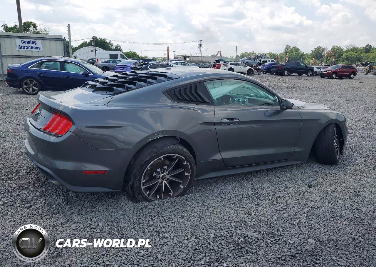 2019 Ford Mustang VIN:1FA6P8TH1K5146506 - 3