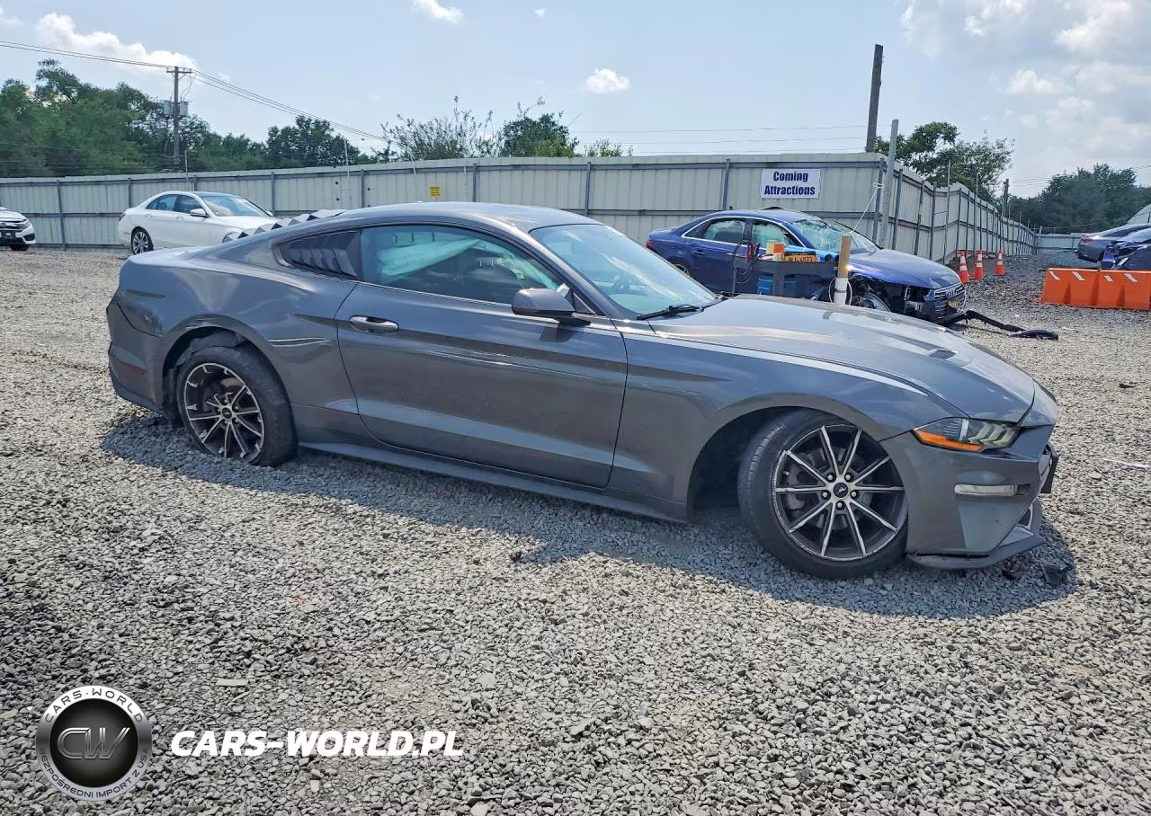 2019 Ford Mustang VIN:1FA6P8TH1K5146506 - 4