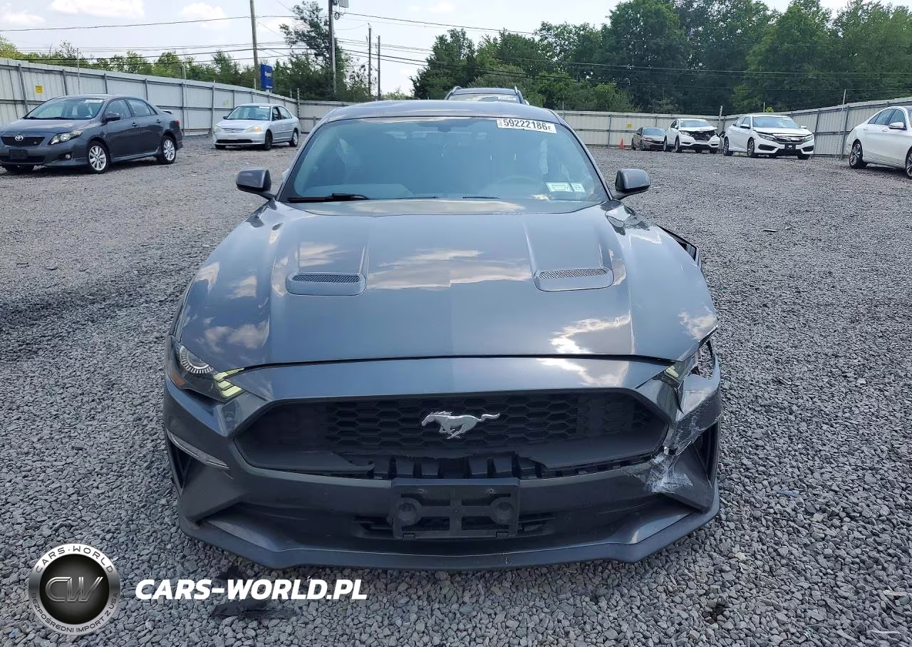 2019 Ford Mustang VIN:1FA6P8TH1K5146506 - 5