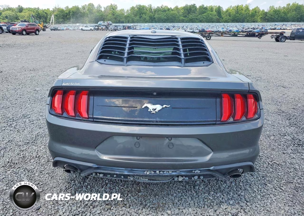 2019 Ford Mustang VIN:1FA6P8TH1K5146506 - 6