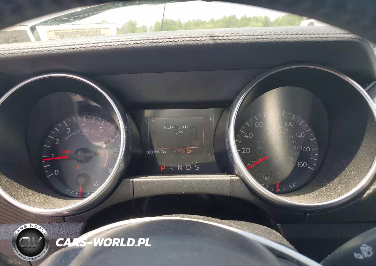 2019 Ford Mustang VIN:1FA6P8TH1K5146506 - 9
