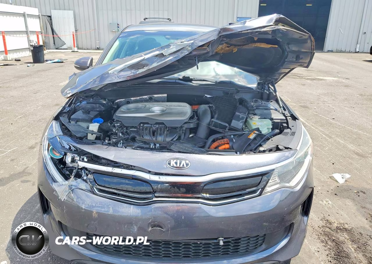 2017 Kia Optima Hybrid VIN:KNAGT4LCXH5007505 - 5
