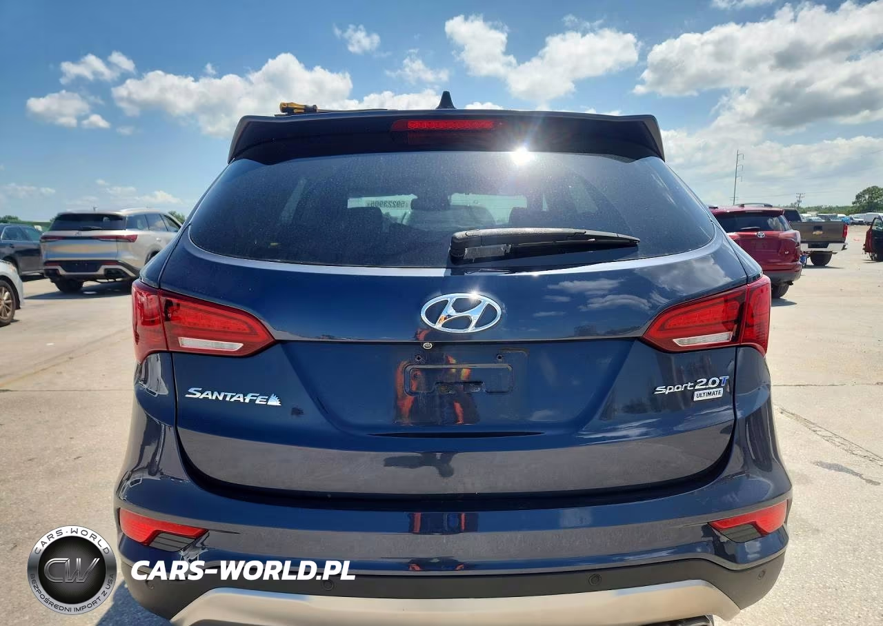 2017 Hyundai Santa Fe Sport 2.0T Ultimate VIN:5XYZW4LA9HG486766 - 6
