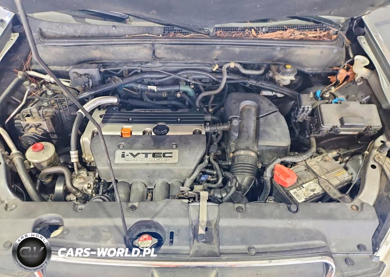 2006 Honda Cr-V Se VIN:SHSRD789X6U401355 - 12