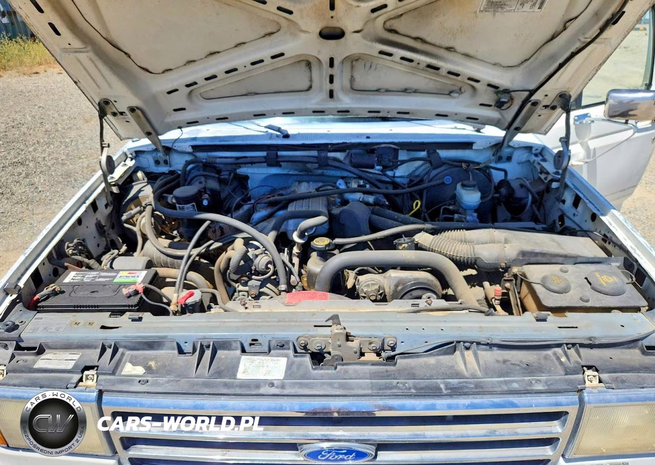 1990 Ford F150 VIN:1FTEX15Y3LKA39681 - 11