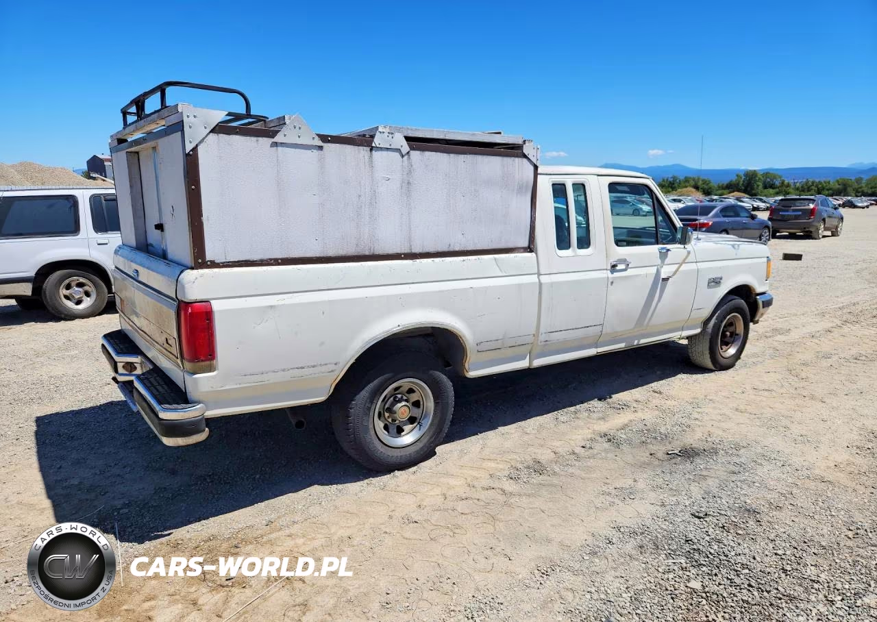1990 Ford F150 VIN:1FTEX15Y3LKA39681 - 3