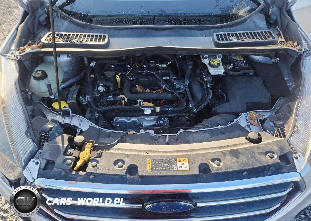 2019 Ford Escape Se VIN:1FMCU9GD8KUA64664 - 12